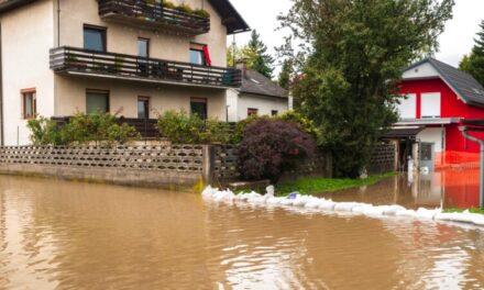 Les différents niveaux d’inondation et leur impact