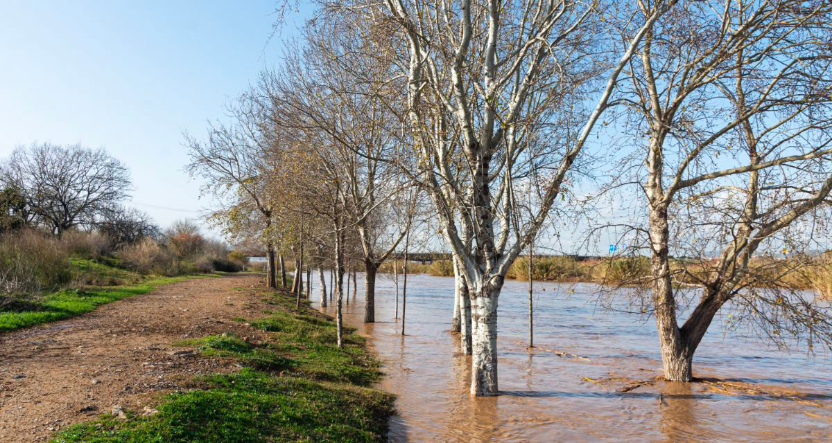 Changement climatique et augmentation des risques d’inondation