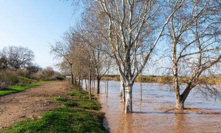 Changement climatique et augmentation des risques d’inondation