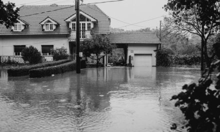 Demander une aide financière et des services d’assistance après une inondation