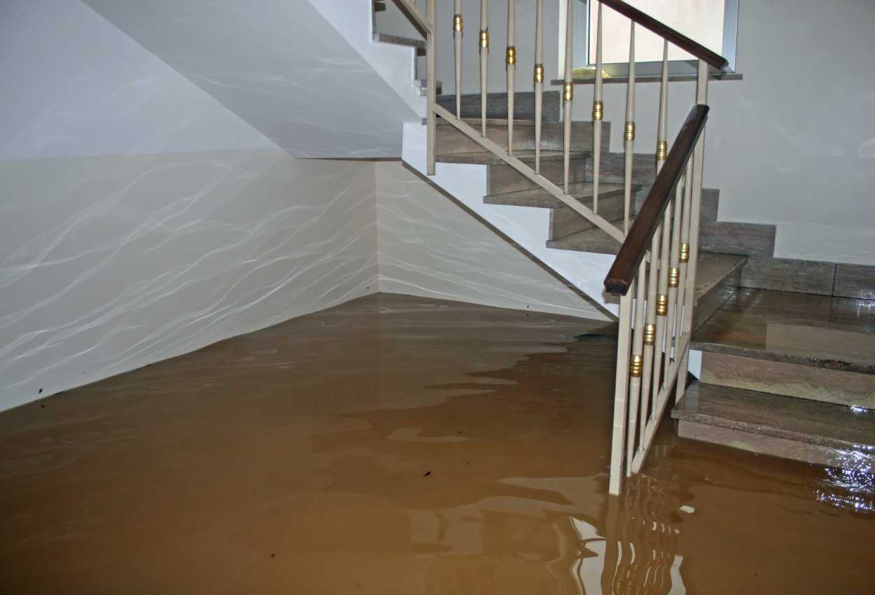 Escalier intérieur menant à un sous-sol inondé, avec de l'eau boueuse recouvrant le sol jusqu'aux premières marches.