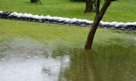 Comment choisir une protection anti-inondation adaptée à votre jardin ?