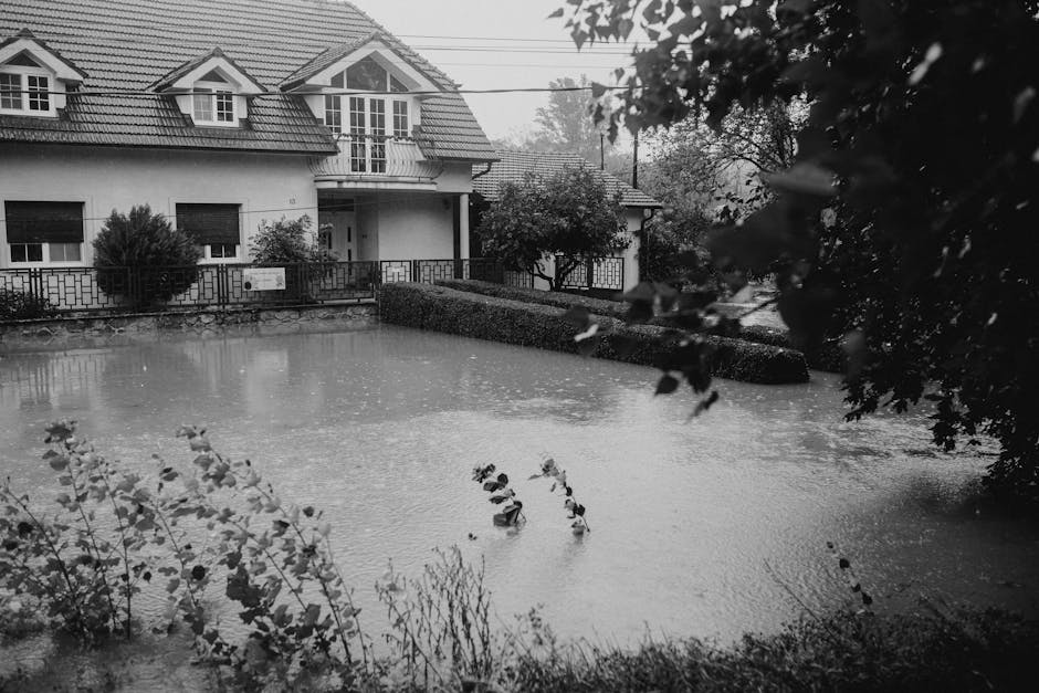 Que faire en cas d’inondation soudaine : instructions de sécurité