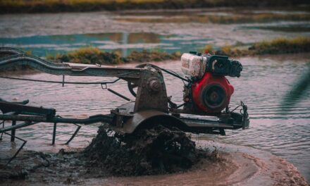 Rôle des sols dans les inondations: Comprendre comment la perméabilité et la saturation des sols influencent les écoulements d’inondation