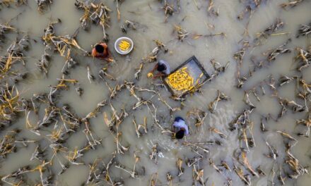 Impact géomorphologique des inondations: Décrire comment les inondations façonnent les paysages et modifient le cours des rivières