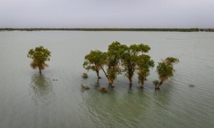 Les sciences derrière les inondations: Explorer les processus hydrologiques et météorologiques qui causent les inondations