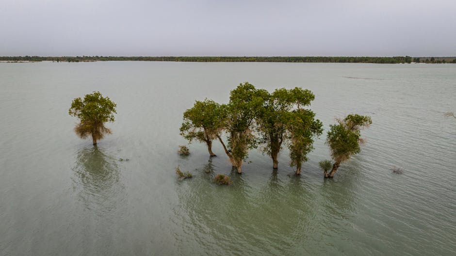 sciences processus inondations