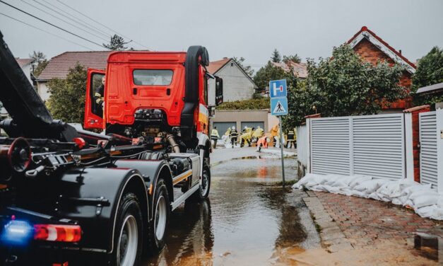 Adaptation des cultures aux zones inondables: Choisir des variétés résistantes à l’eau et des systèmes de culture adaptés aux risques d’inondation